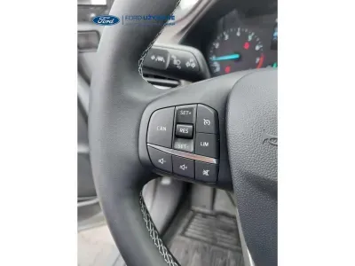 SZARY SUV FORD PUMA z 2022 r., BENZYNA, skrzynia biegów AUTOMATYCZNA 92KM, zdjęcie 17 z 19
