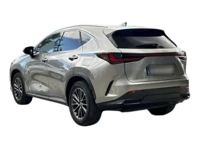 SZARY SUV LEXUS NX z 2021 r., HYBRYDA/BENZYNA, skrzynia biegów AUTOMATYCZNA 242KM, zdjęcie 19 z 19