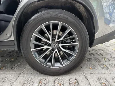 SZARY SUV LEXUS NX z 2021 r., HYBRYDA/BENZYNA, skrzynia biegów AUTOMATYCZNA 242KM, zdjęcie 17 z 19