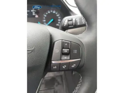 SZARY SUV FORD PUMA z 2022 r., BENZYNA, skrzynia biegów AUTOMATYCZNA 92KM, zdjęcie 13 z 19